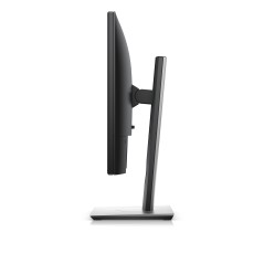 Dell 19 Monitor P1917S - 19" skærm til kontor